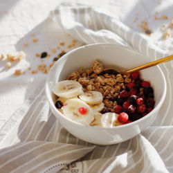Fruit Granola Bowl