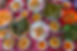 Vietnamese Hue style steamed rice cake with minced shrimps