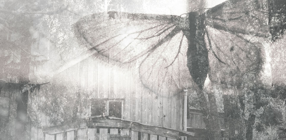 Butterfly Collage