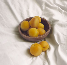 Pesche