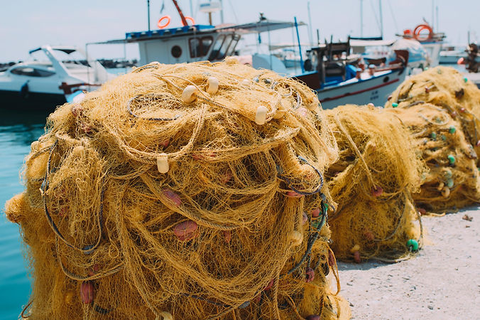 Fishing Nets