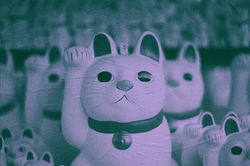 Cat power: