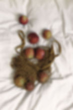 Nectarines