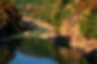 River Raft Rowing
