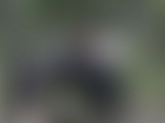 The Skills Our Kids Will Actually Need (and Why Most Schools Still Aren’t Optimized for Them)