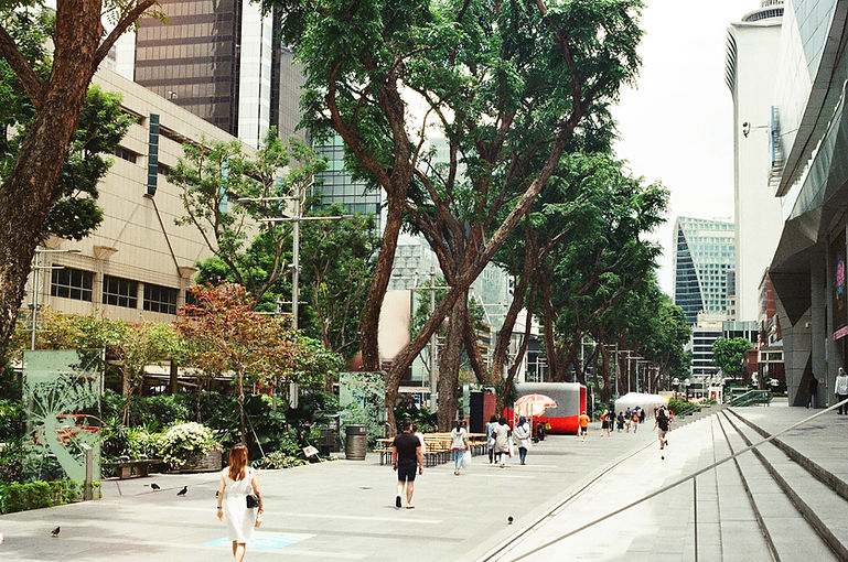 Pedestrian Path