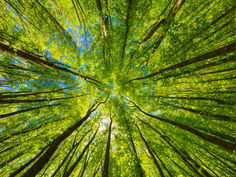 Aimer notre vie, aimer notre terre, aimer notre mode de vie, aimer notre monde …