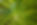 Dans la forêt
