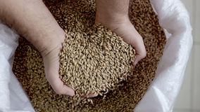 Navigating the Challenges and Opportunities in the Grain Trading Industry: Insights for 2023