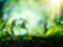 glass planet in a forest with sunshine