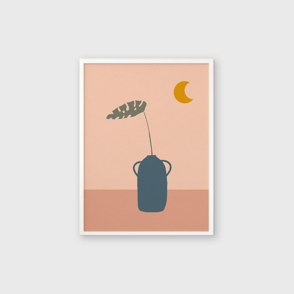 Framed Picture