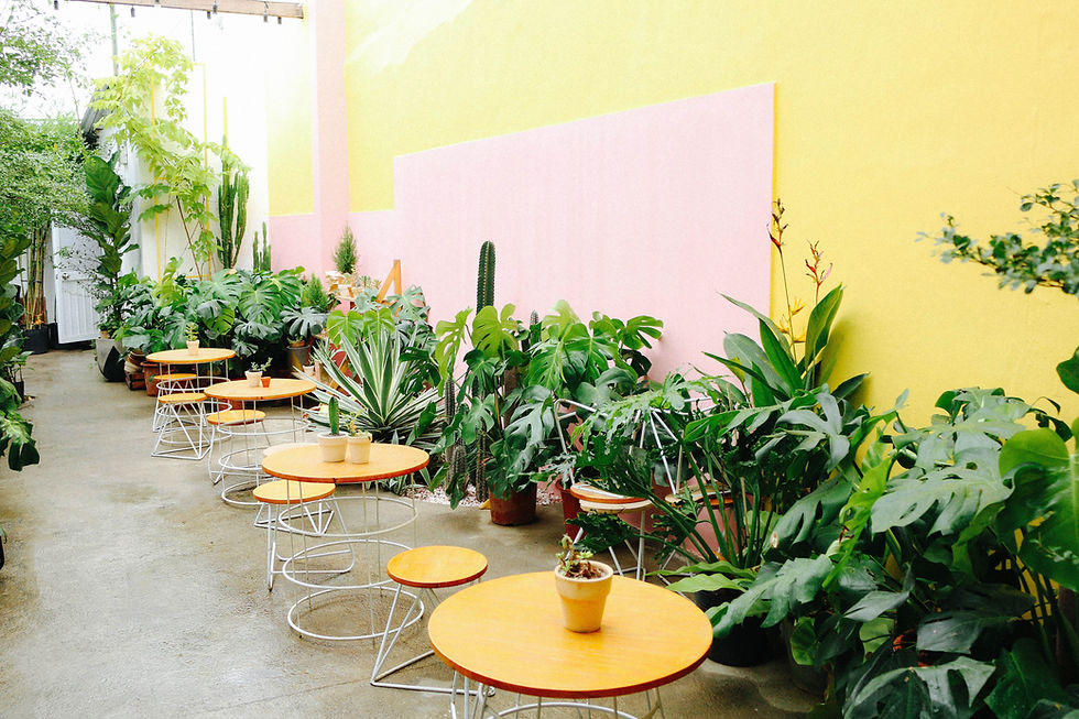 Colorful Outdoor Café