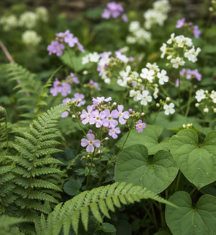Wildflower Garden Scene