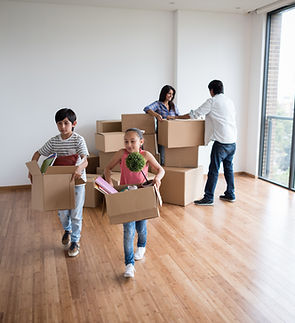 Professional cleaning service