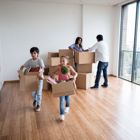 Moving Options in Tampa, FL
