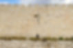 Ancient Stone Wall