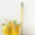 Cleaning Supplies