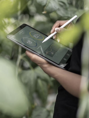 Digital Detox: Reclaiming Your Time and Attention