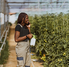 Organic Pesticide Spray