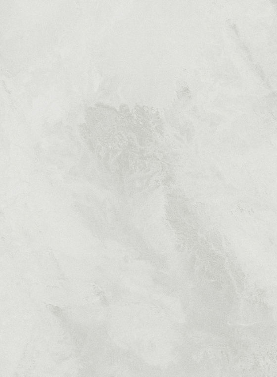 White Background