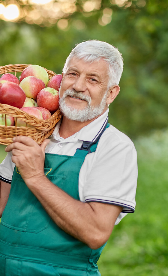 Fresh Apples