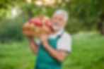 Man Holding Apples