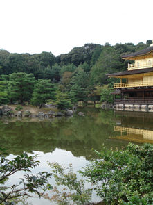 Top 10 Must-Visit Destinations in Asia for 2024: Hidden Gems and Tourist Favorites
