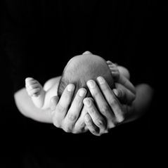 Isang Paghahambing ng Etika ng Tao at Hayop Tungkol sa Pagprotekta sa Buhay