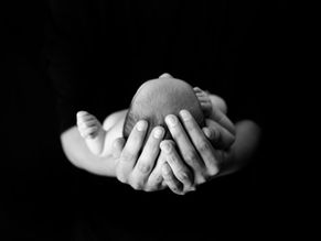 Isang Paghahambing ng Etika ng Tao at Hayop Tungkol sa Pagprotekta sa Buhay