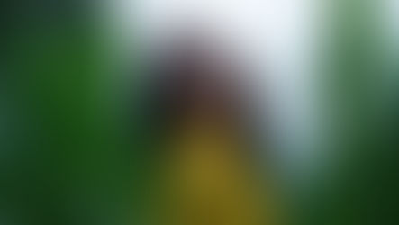 Somatic Self-Validation for High-Functioning Women: Learning to Be Your Own Source of Safety and Worth