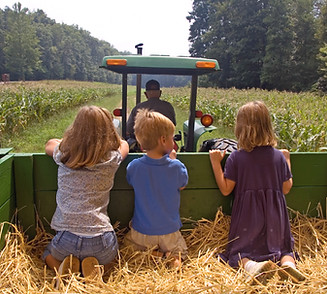 Back of Tractor Ride