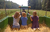 Promenade à l'arrière d'un tracteur