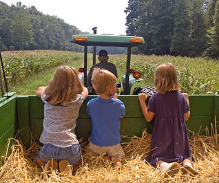 Back of Tractor Ride