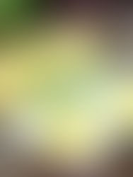 Quais Os Beneficios De Minerais Para O Nosso Corpo.