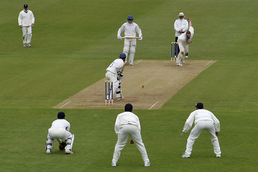 Cricket