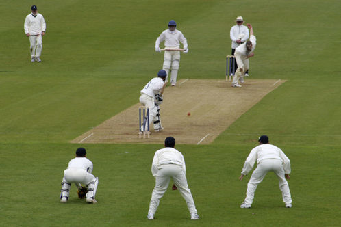 Cricket
