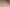 Wooden Surface Texture