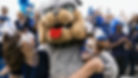 Mascot