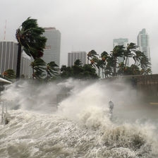 A Natural Disaster: What Can You Do?