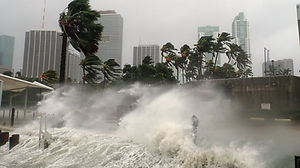 Hurricane in City