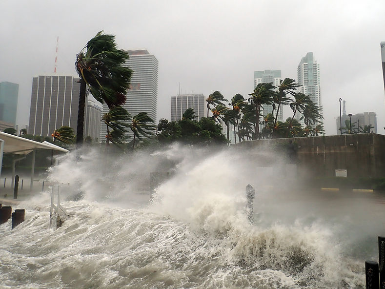 Water damage restoration services in Florida by Quality Remediation.