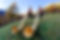 Alphorn musicians