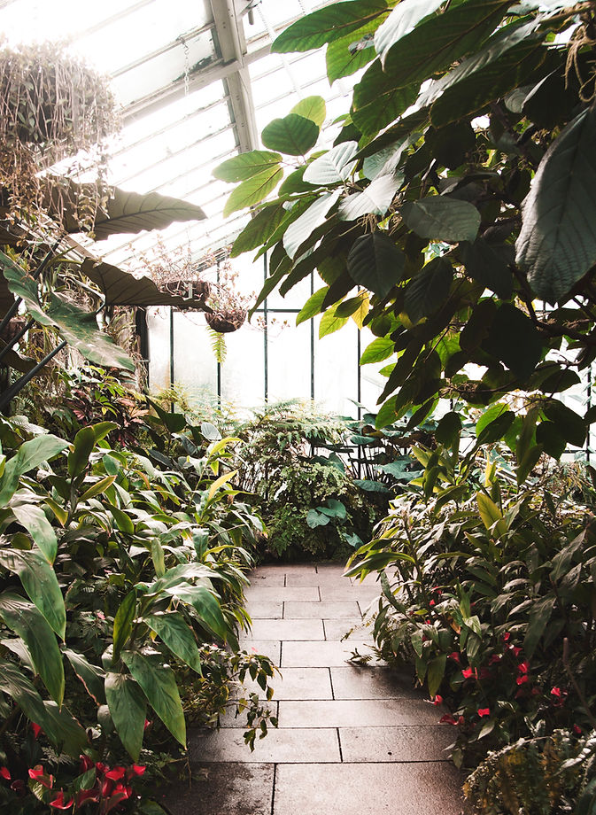 Greenhouse Interior View