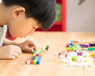 Child Playing Blocks