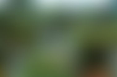 Écouter l'odeur et la cartographie des contactes