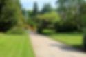 A gravel roadway