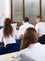 👩‍💻Servicios y profesionales