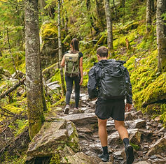 Wandern