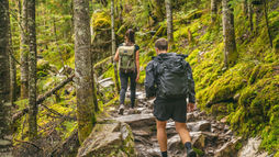 man and woman on the forest with backpacks on