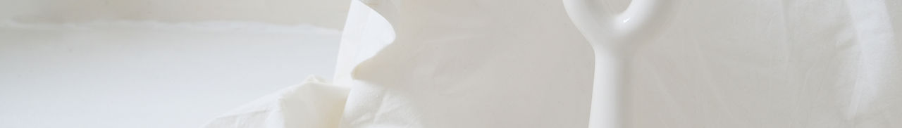 Flower Vase and Coral